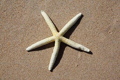 像素风冒险游戏《弗拉德马戏团》跳票至2023年第一季度